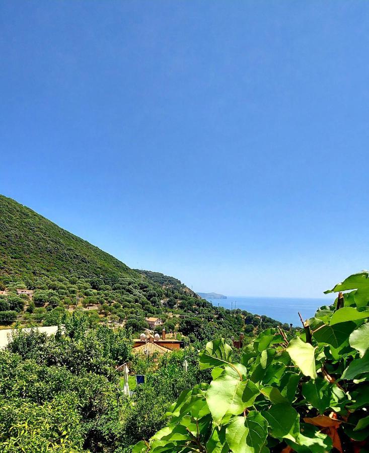 La Casa Sul Blu Albergo Diffuso Pisciotta Ngoại thất bức ảnh