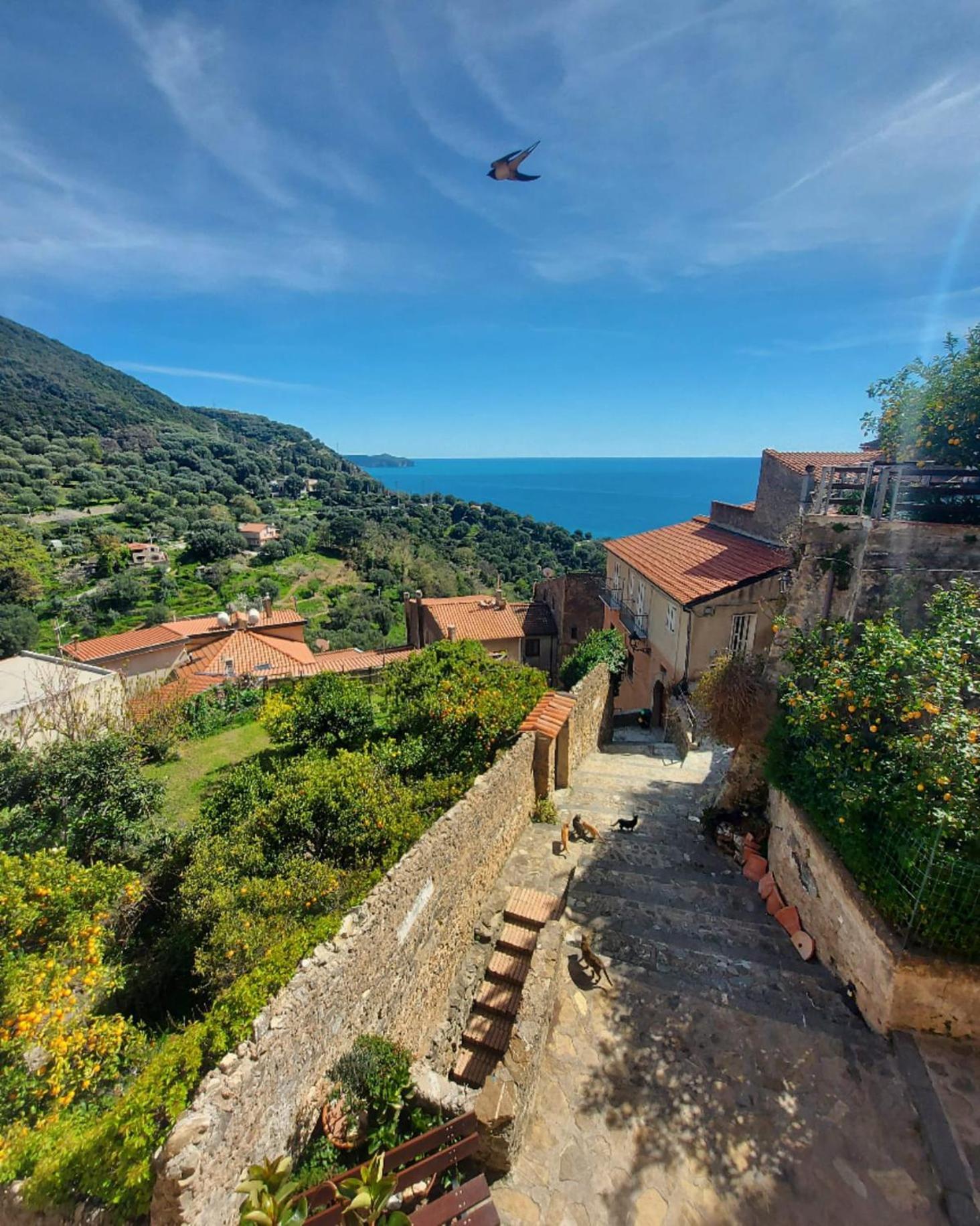La Casa Sul Blu Albergo Diffuso Pisciotta Ngoại thất bức ảnh