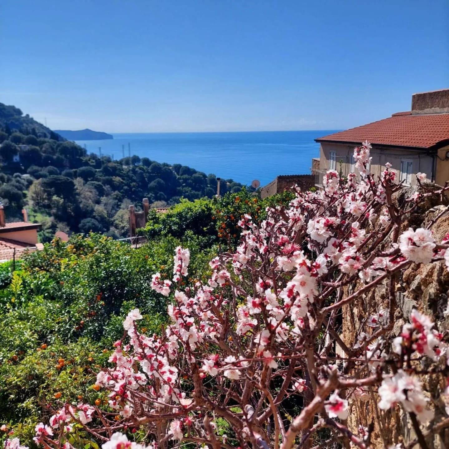 La Casa Sul Blu Albergo Diffuso Pisciotta Ngoại thất bức ảnh