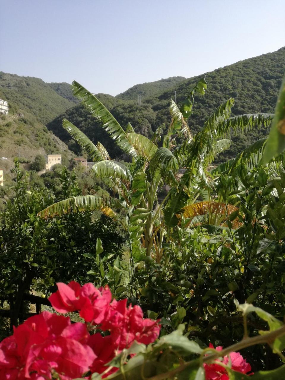 La Casa Sul Blu Albergo Diffuso Pisciotta Ngoại thất bức ảnh