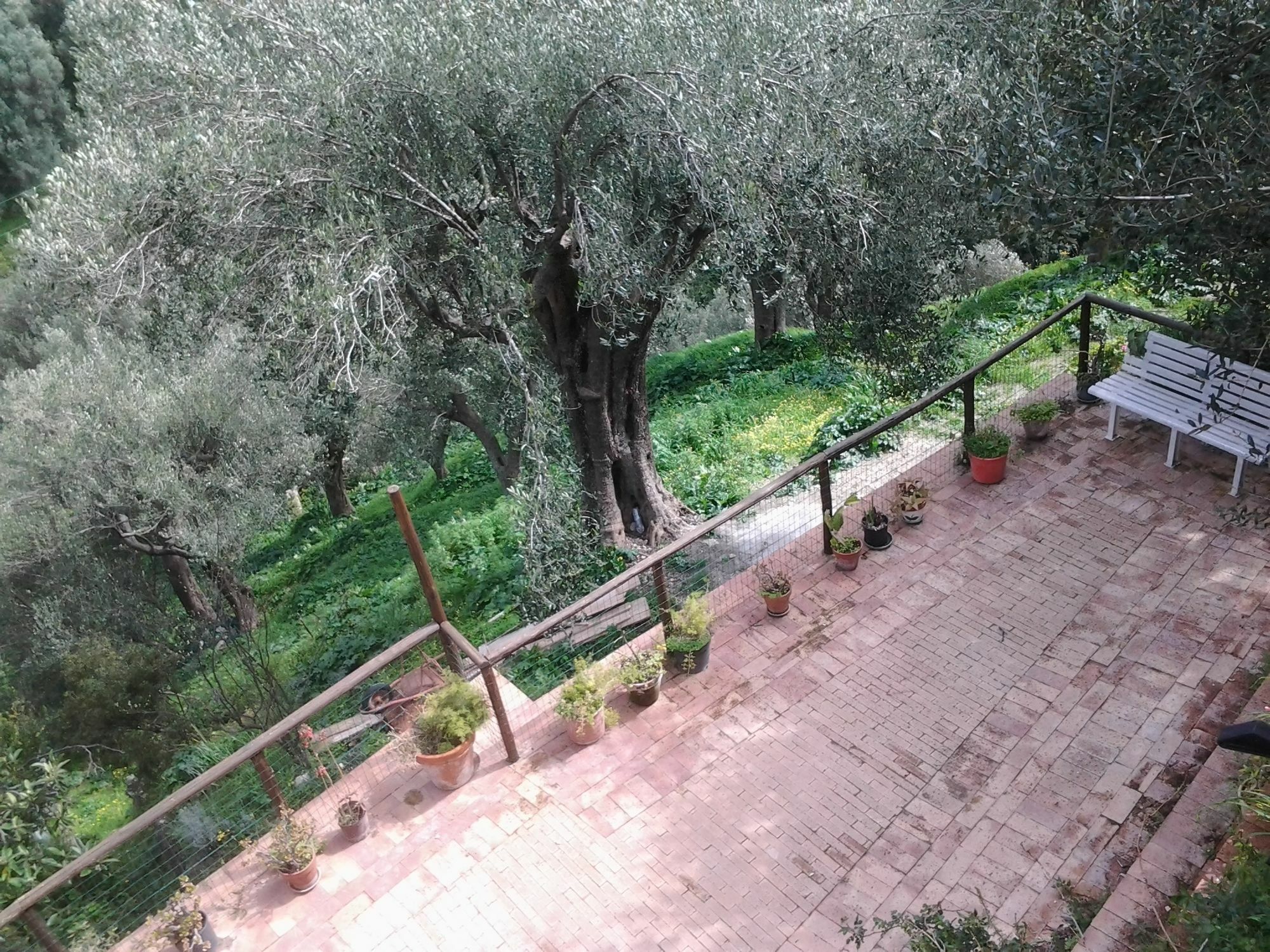 La Casa Sul Blu Albergo Diffuso Pisciotta Ngoại thất bức ảnh
